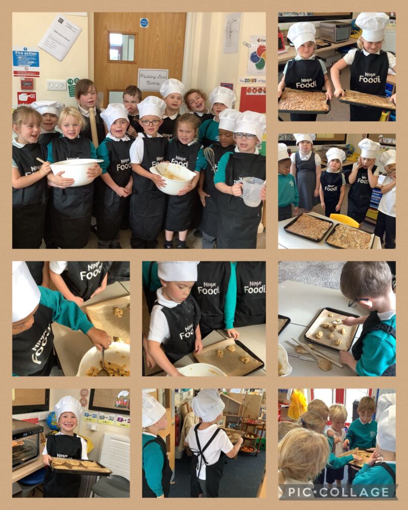 Image for the Tweet beginning: The Squirrels are thrilled to