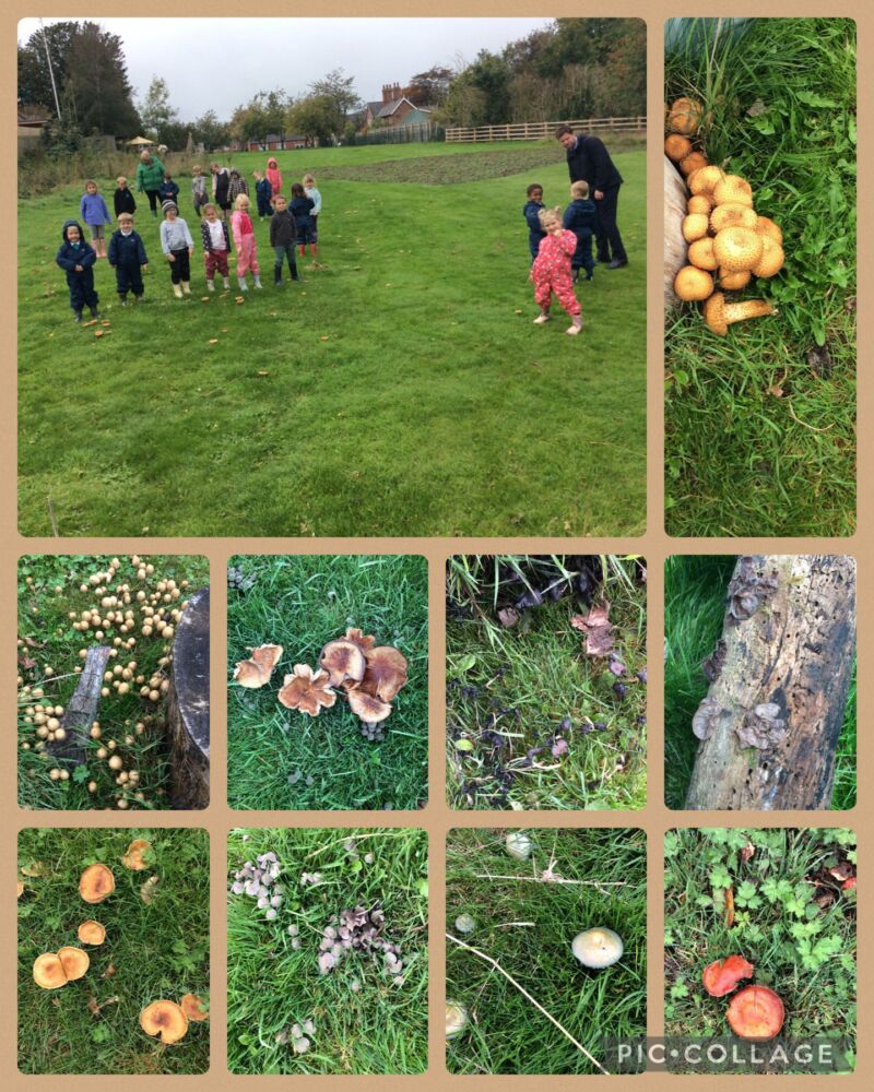 Image for the Tweet beginning: At Siggy we are fast